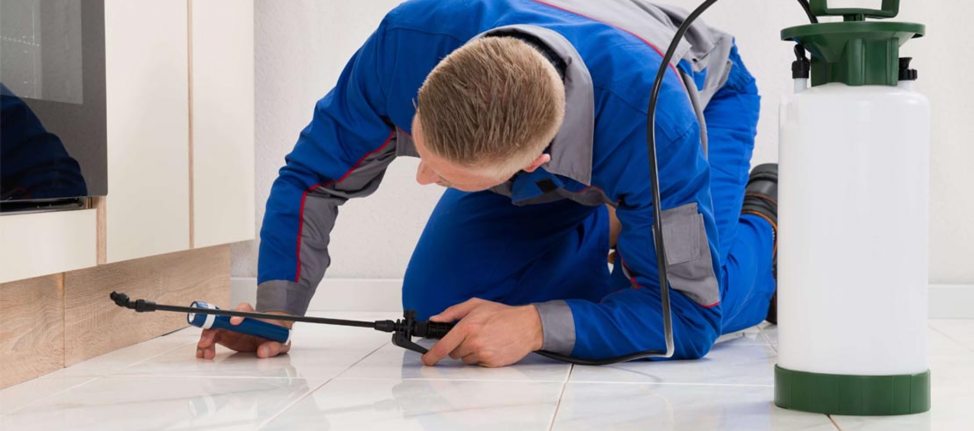 ابادة القراد